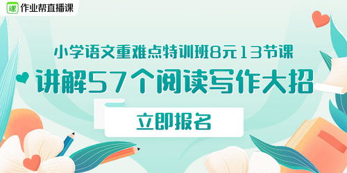 信息流广告设计